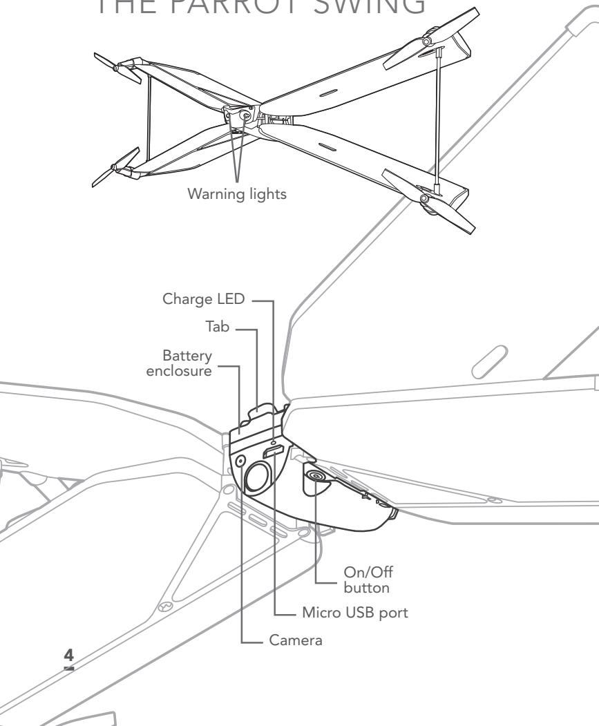 PARROT SWING - 3