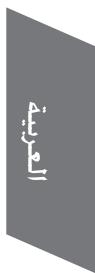 PARROT SWING - تقدم PARROT FLYPAD - 3