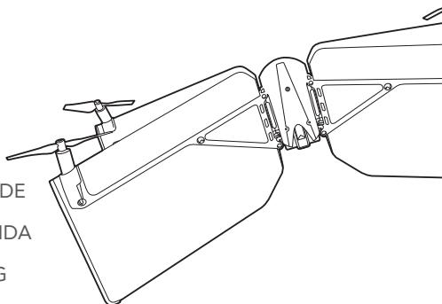 PARROT SWING - 1