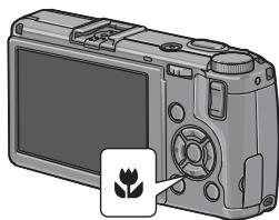 RICOH GR III STREET EDITION - Prenez la photo. - 1