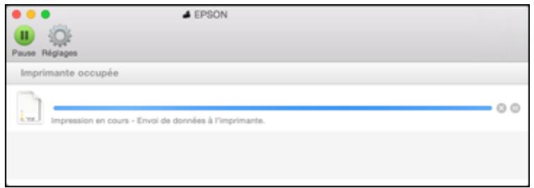 EPSON SC-P700 - Vérification de l'etat de l'impression - Mac - 1