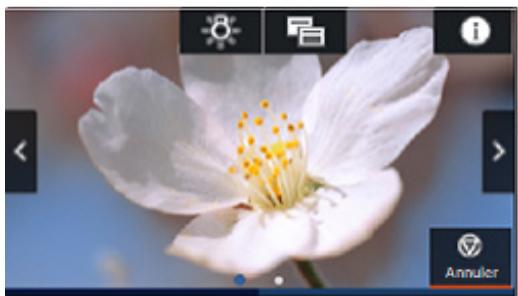 EPSON SC-P700 - Écran d'impression - 1