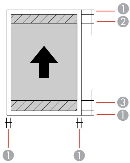 EPSON SC-P700 - Caracteristiques de la zone d'impression - 1