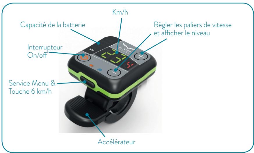 EGRET TEN V4 - ACCELERATEUR - 1
