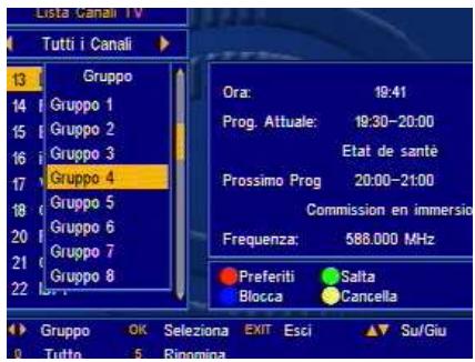 SAGEM DT60NB - Selezionare i canali preferiti - 1