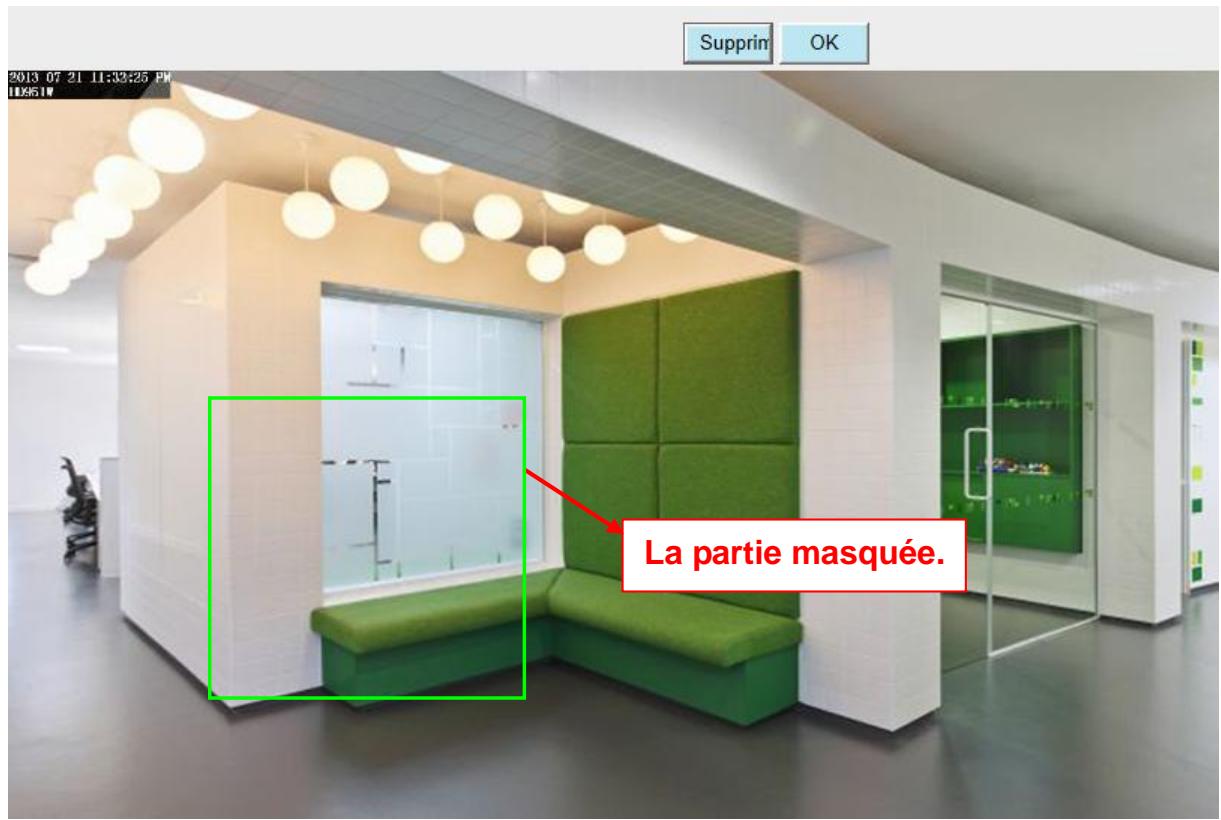 FOSCAM FI9821P - Autoriser les zones privées (Autoriser accès zone privée) - 1