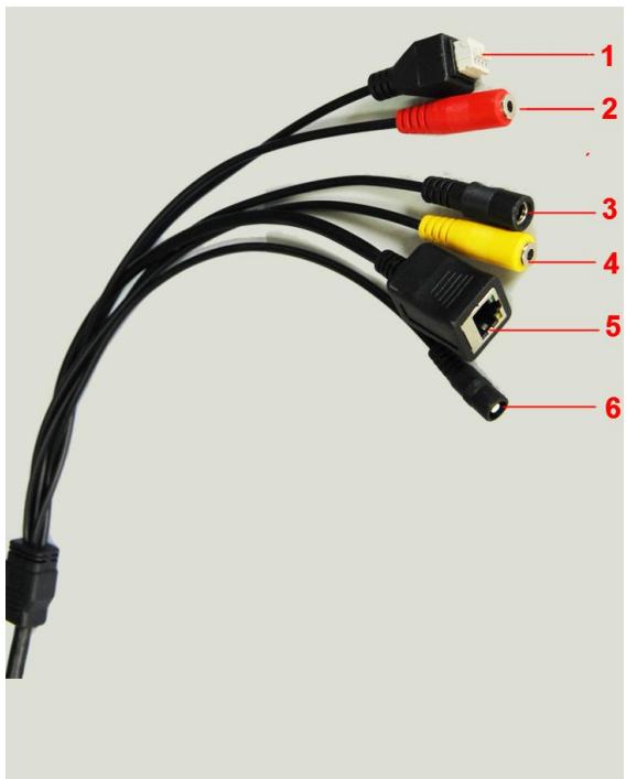 FOSCAM FI9821P - Vue des connecteurs - 1
