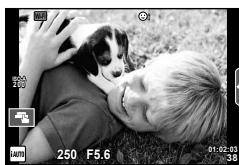 OLYMPUS E-M1 MARK III  -  E-M1 MKIII - Prise de vue - 2