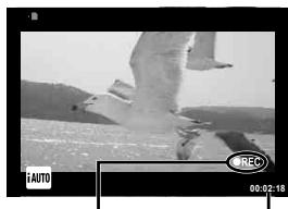 OLYMPUS E-M1 MARK III  -  E-M1 MKIII - Enregistrement de videos - 2