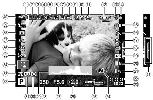 OLYMPUS E-M1 MARK III  -  E-M1 MKIII - Affichage de l'écran lors de la prise de vue en direct - 1