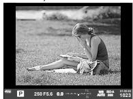 OLYMPUS E-M1 MARK III  -  E-M1 MKIII - Viseur - 1