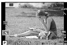 OLYMPUS E-M1 MARK III  -  E-M1 MKIII - Ecran - 1