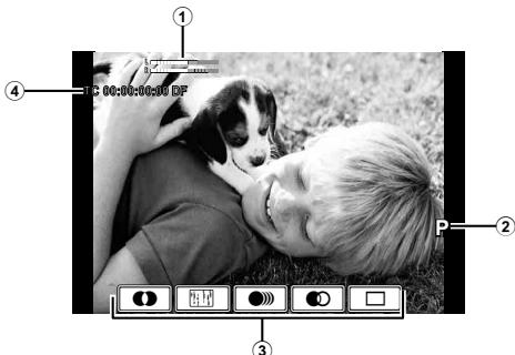 OLYMPUS E-M1 MARK III  -  E-M1 MKIII - Affichage de l'écran en mode videoo - 1