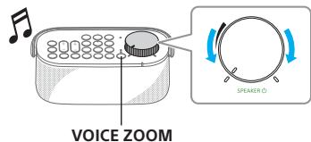 SONY SRSLSR200 - 9