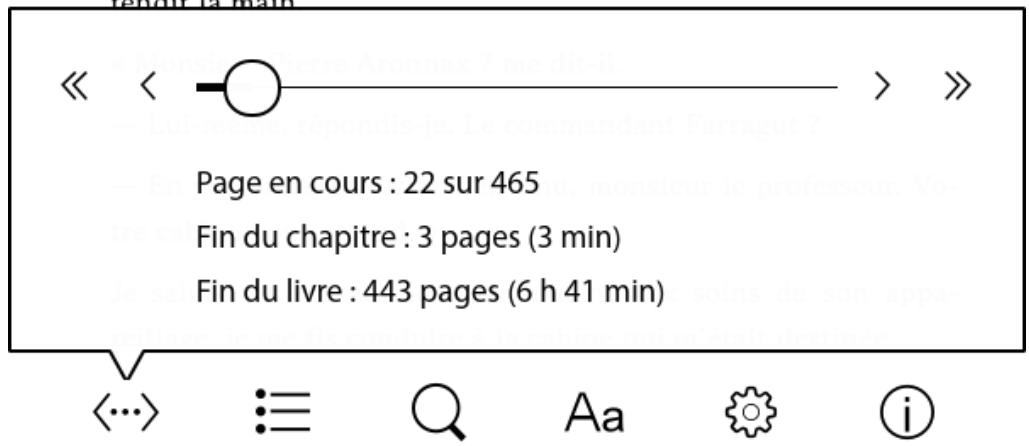 BOOKEEN DIVA HD - L'environnement de lecture pour les fichiers ePub/FB2/HTML/TXT (avec mise en page dynamique) - 2