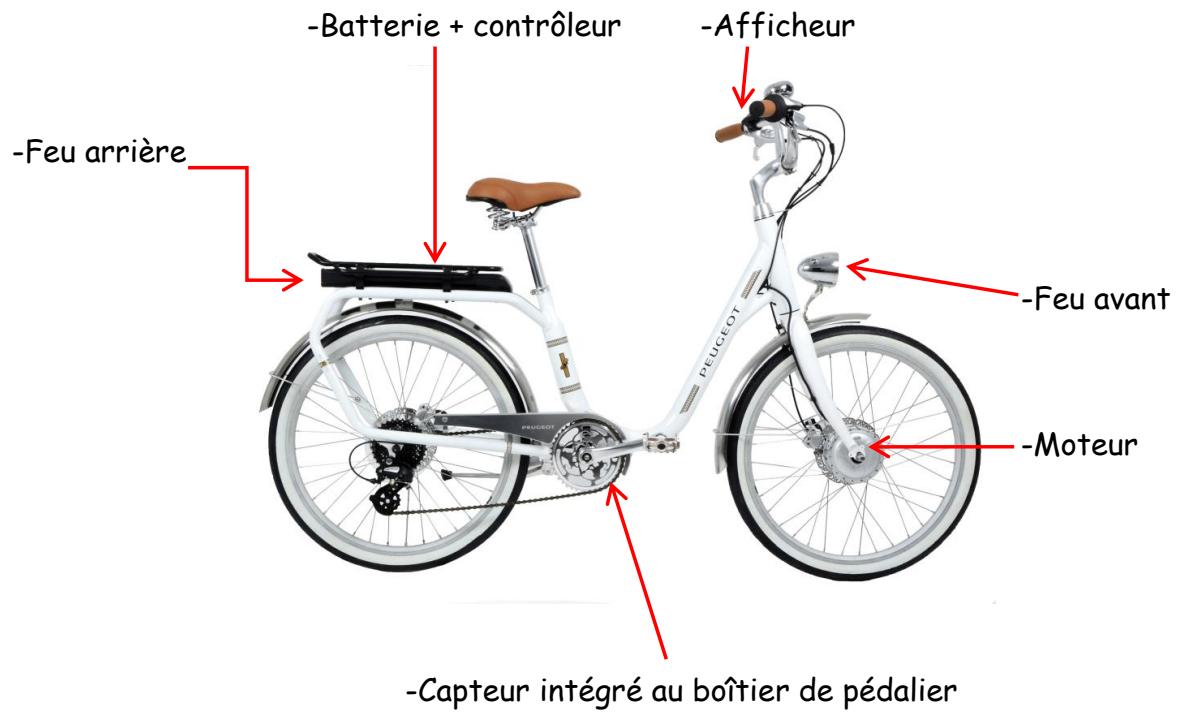 PEUGEOT CITY E-LEGEND - Position des composants électriques du VAE - 1