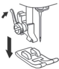SOLAC SW8220 - Colocacion del prensatelas para ojales. - 1