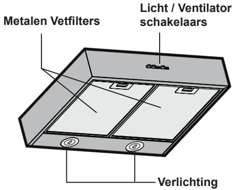 EICO SHINING PELTROX - Beschrijving - 1