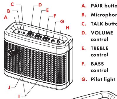FENDER NEWPORT - 1