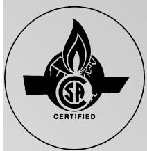 VIESSMANN VITODENS 100 W - VITODENS 100-W - 3