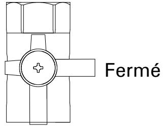 VIESSMANN VITODENS 100 W - CONSIGNES D'UTILISATION - 1