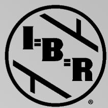 VIESSMANN VITODENS 100 W - VITODENS 100-W - 5