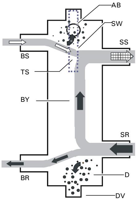 VIESSMANN VITODENS 100 W - Collecteur de perte faible - 2