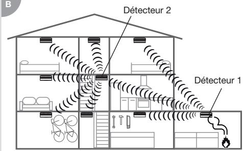 DIAGRAL DIAG71ATX - Ajout d'un détecteur dans un réseau existant - 2