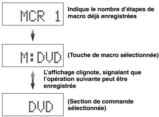 SCOTT MCX 10 - Example - 2