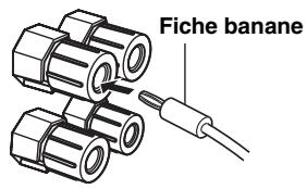 SCOTT MCX 10 - Raccordement des câbles d'enceintes - 3