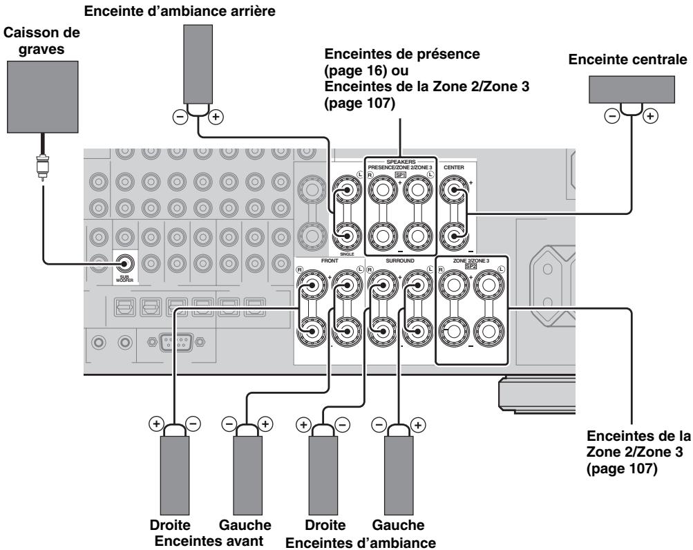 SCOTT MCX 10 - Raccordement des enceintes pour un ensemble à 6.1 voies - 1
