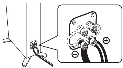SCOTT MCX 10 - Étape 1: Installes vos enceintes - 2