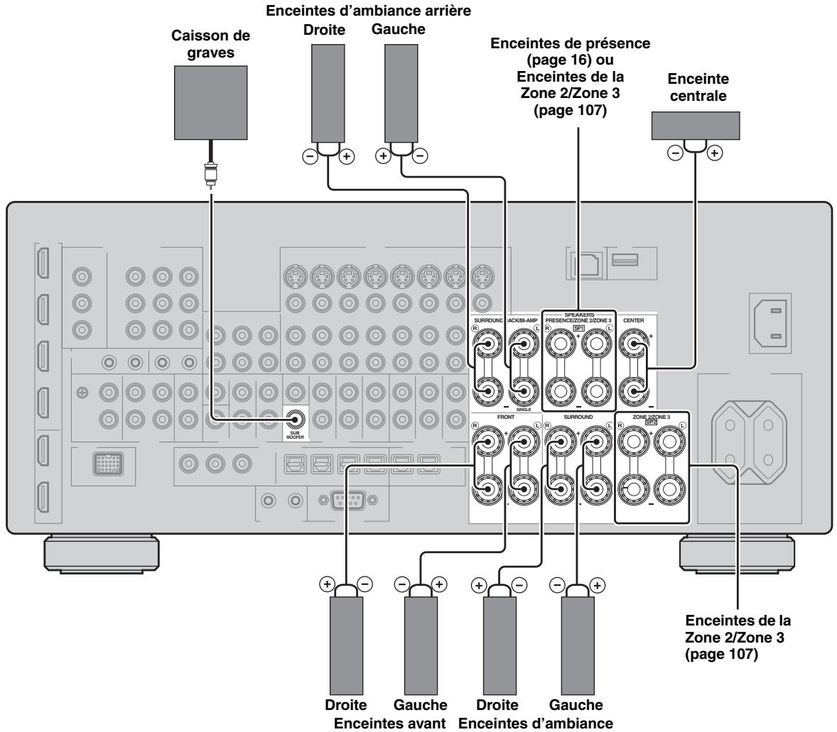 SCOTT MCX 10 - Raccordement des enceintes pour un ensemble à 7.1 voies - 1