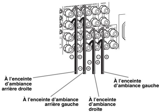 SCOTT MCX 10 - Étape 1: Installes vos enceintes - 8
