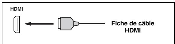 SCOTT MCX 10 - Prise et fiche de cable HDMI - 1