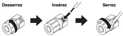 SCOTT MCX 10 - Raccordement des câbles d'enceintes - 2