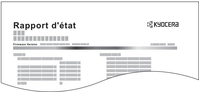 KYOCERA ECOSYS P4060DN - Rapport d'impression - 1
