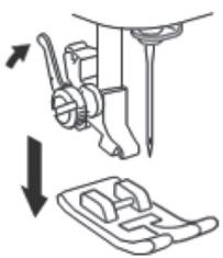 SOLAC SW8221 COTTON 12.2 - Mise en place du pied presseur spécial boutonnières. - 1