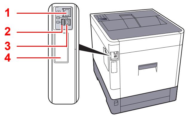 KYOCERA ECOSYS P6230CDN - Connecteurs/intérieur - 1