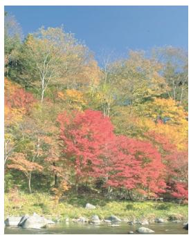 KYOCERA TASKALFA 4551CI - Exemple : - 2