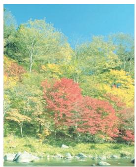 KYOCERA TASKALFA 4551CI - Exemple : - 1