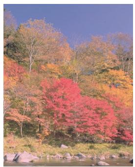 KYOCERA TASKALFA 4551CI - Exemple : - 3