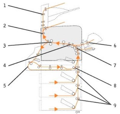 DELL 5210N - Identification des bourages - 1