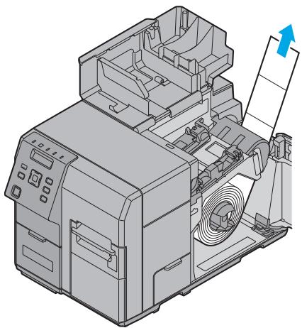 EPSON COLORWORKS C7500G - Installation du rouleau de papier - 5
