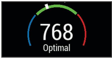 GARMIN 830 - Estimation de votre charge d'entraînement - 1