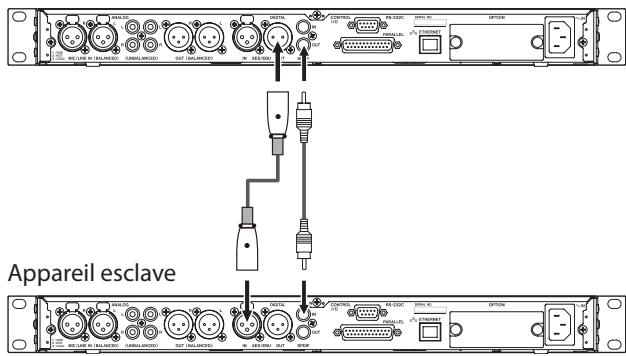 TASCAM SS-R250N - Branchements pour la lecture couplée - 1