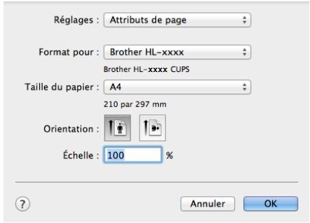 BROTHER HL-1223WE - Choix des options de mise en page - 2