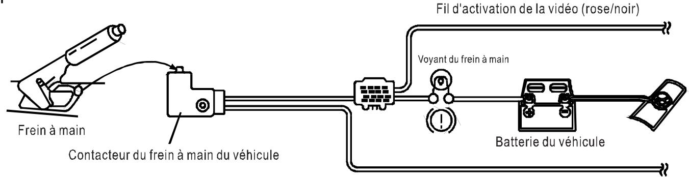 SCOTT DNX 2100 - Connexion du fil rose et noir perpetual d'activer l'affichage video - 1