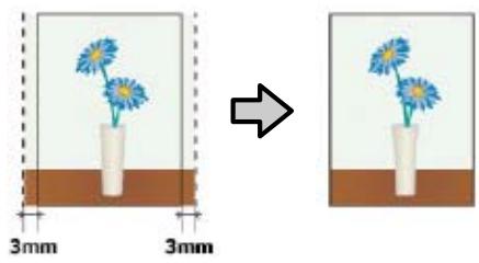 EPSON SURECOLOR SC-P7500 - Types de méthodes d'impression sans marges - 2