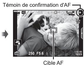 Témoin de confirmation d'AF 250 F5.6 1:02:03 10:23 Cible AF